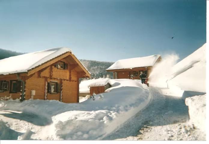Le "Chalet De Minette" 2 Etoiles La Bresse Eksteriør bilde