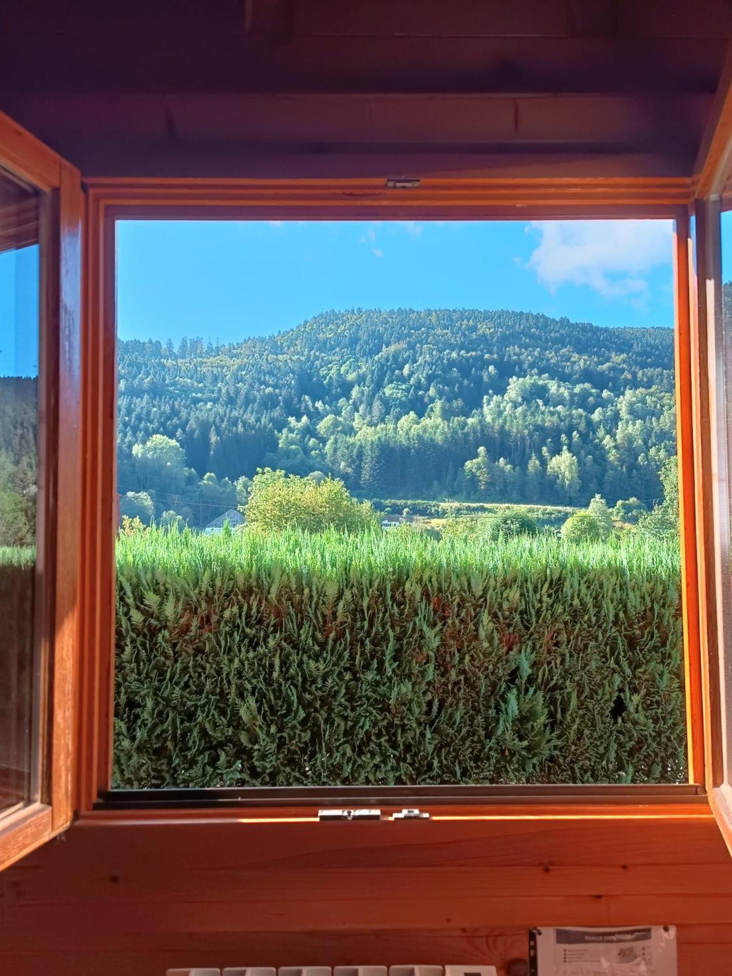 Le "Chalet De Minette" 2 Etoiles La Bresse Eksteriør bilde